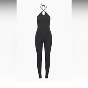 Never Worn Aritzia Wilfred Free Ivy Jumpsuit